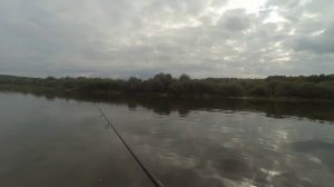 Рыбалка на Оке в Кашире под Авто Мостом ,есть здесь рыба ?