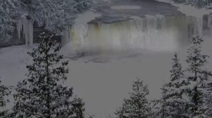 Зима в лесу