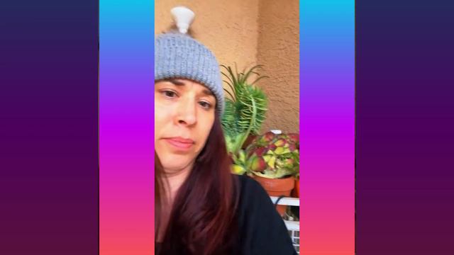 Crested succulents смотреть онлайн