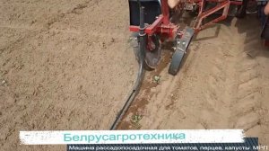 Машина рассадопосадочная (для томатов, перцев, капусты) МРП (универсальная)