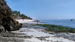 Пляж возле отеля Leopard Beach Resort and Spa, Кения