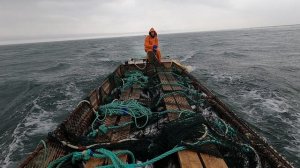 29 августа)2021 год