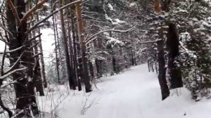 Поздравляю с Новым 2015 годом