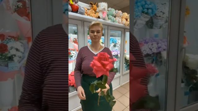 Если мне обрежут крылья, пересяду на метлу. 🧚♀️