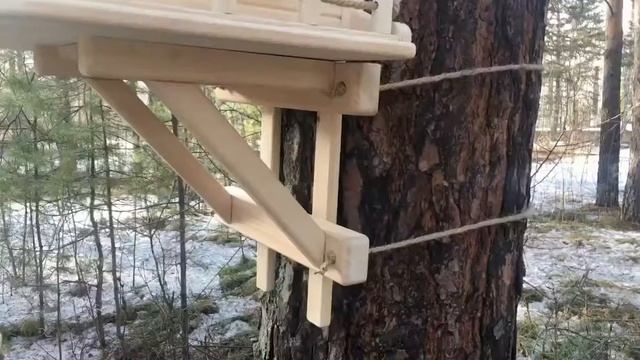 Домик для белки - приручаем белочек смотреть онлайн