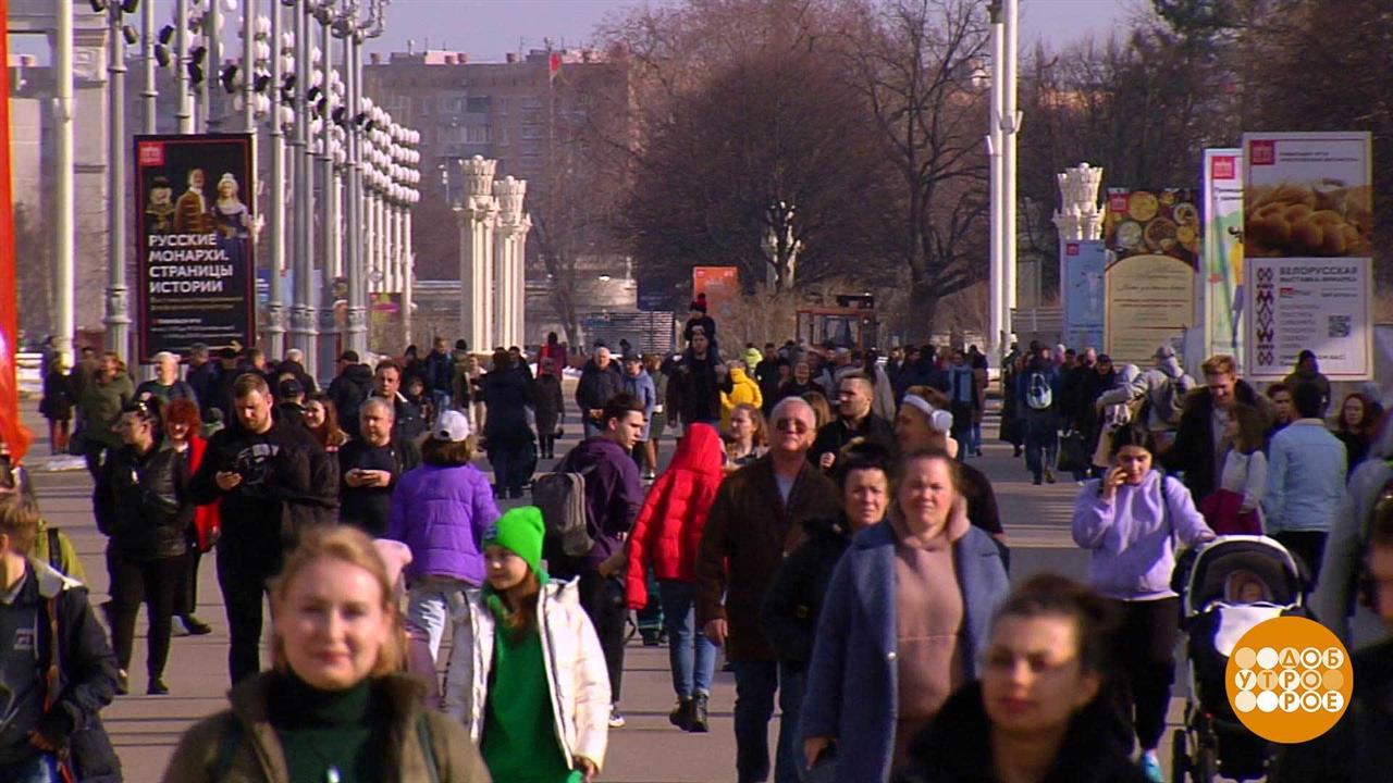 Весеннее обострение: откуда? Доброе утро. Фрагмент выпуска от 13.04.2022