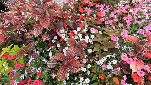 Michel Berger - Quelques mots d'amour смотреть онлайн