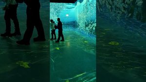 Москва ВДНХ Luminar-X иммерсивное шоу 5.02.2024