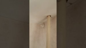 Установка закладной для карниза под натяжной потолок. Благовещенск. мастер на час.