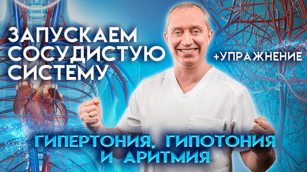 Запускаем сосудистую систему. Гипертония, гипотония и аритмия