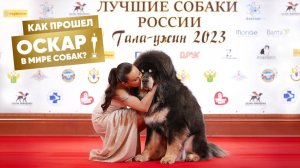 «Хвост Ньюс» посетили гала-ужин Best Russian Dog 2023