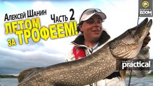 Летом за трофеем! Часть 2. Ловля щуки на Волге. Алексей Шанин.
