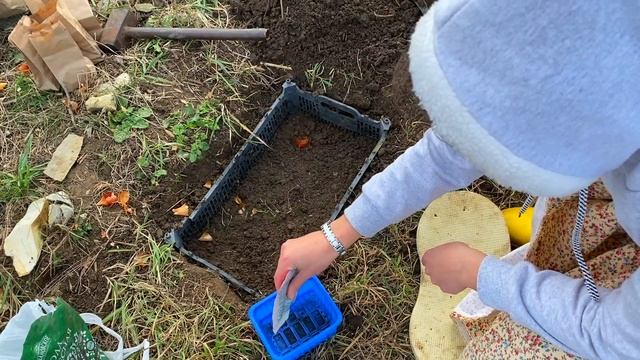 Как посадить луковичные | Супер способ посадки тюльпанов в ящик смотреть онлайн