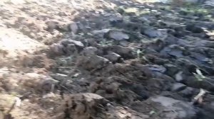 КТЗ Т-70с мой рабочий денёк ???