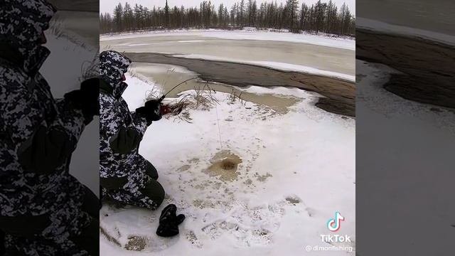 рыбалка #зима#мечта#природа#