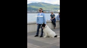 Сериал «Бим» 3 ий сезон 1 я – 3 я серии  Анонс.