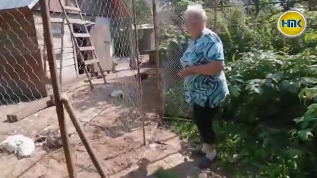 Чупакабра в Верее, Наро-Фоминского района