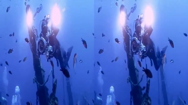 Видео для виртуальных очков океан Ocean World 3D