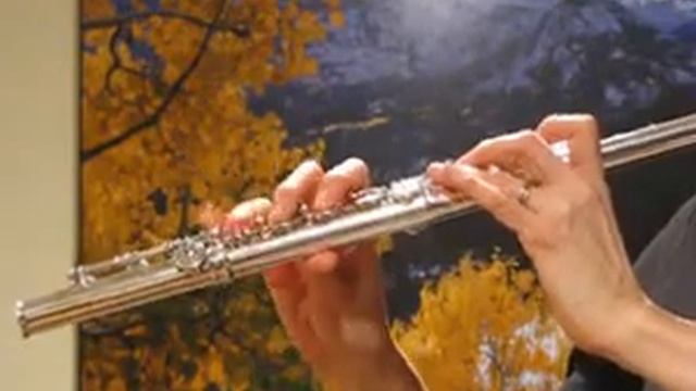 Muramatsu DN w/ B and C Foot - Response Demo смотреть онлайн