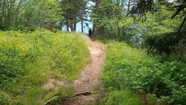 EPISODE #7 | HIKING AT FUNDY NATIONAL PARK | NEW BRUNSWICK TRAILS смотреть онлайн