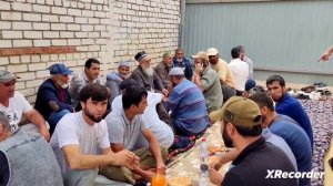 Туй Облоëр дар шахри Волгоград