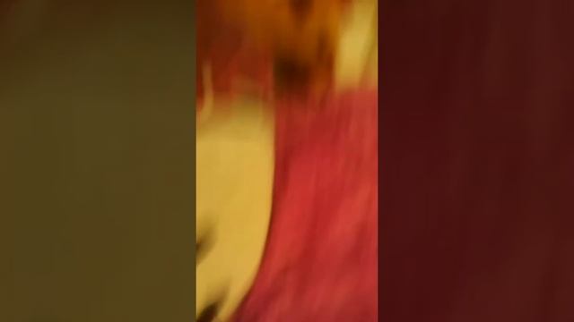 Мама помешала снимать дальше плак плак плак:( смотреть онлайн