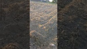 Разбиваем целину китайской почвофрезой