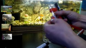 Умный нано аквариум своими руками