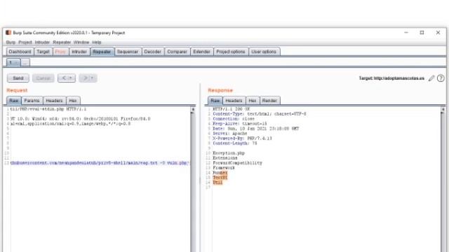 laravel phpunit remote code execution with foxyproxy and burpsuite 2021