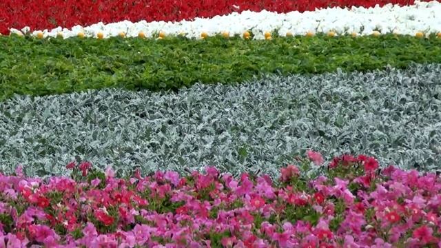 Юбилей ГУМ. Фестиваль цветов на Красной площади 2013 г. смотреть онлайн