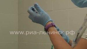 Как уберечь животных от полчищ мошки