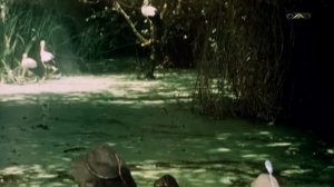 Когда мы отступаем - это значит мы вперед идём!