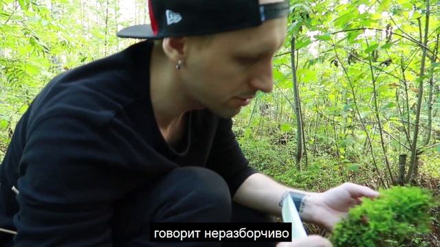 diy картина из мха