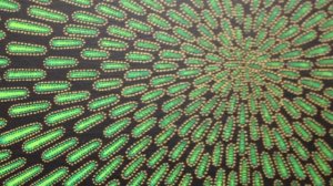 Aperçu vidéo du tableau contemporain : Particule verte.
