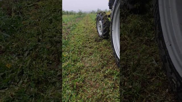 Роторная косилка-мульчер для минитрактора.