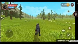 играем в игру Wild Craft