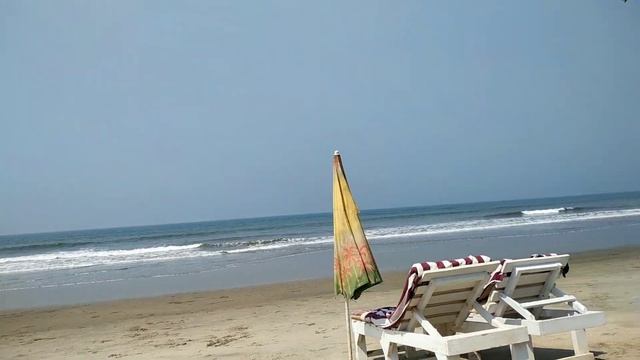 Beach | Morjim Beach | Most Beautiful Beach in Goa #shorts #goa #beachlife #goabeach #youtubeshorts