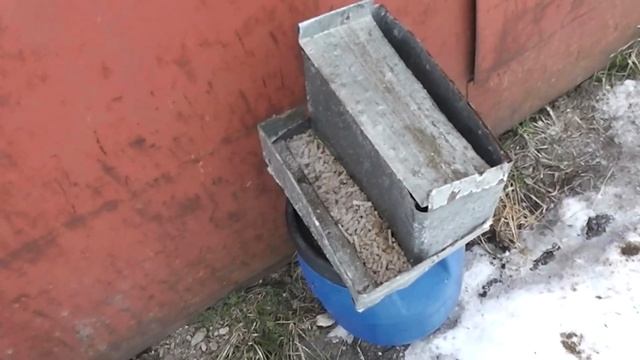 Мыши отравили кролика! смотреть онлайн