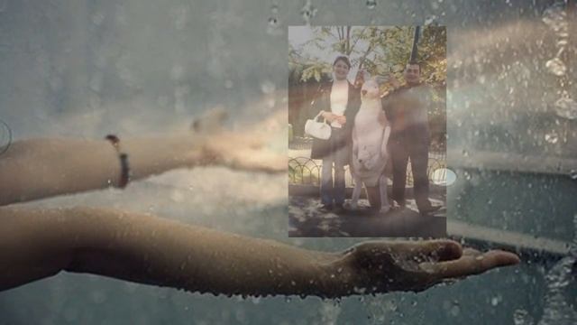 ПАМЯТИ ЛЮБИМОГО СЫНА И БРАТА СЕЙРАНА смотреть онлайн