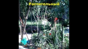 Варианты узоров на шпалерах для роз въющихся цветов и растений ,ковка цветочные стойки