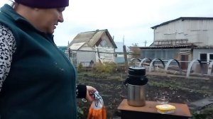 Работаю в огороде от души .Ухаживаю за клубникой ./Мама Гуля /