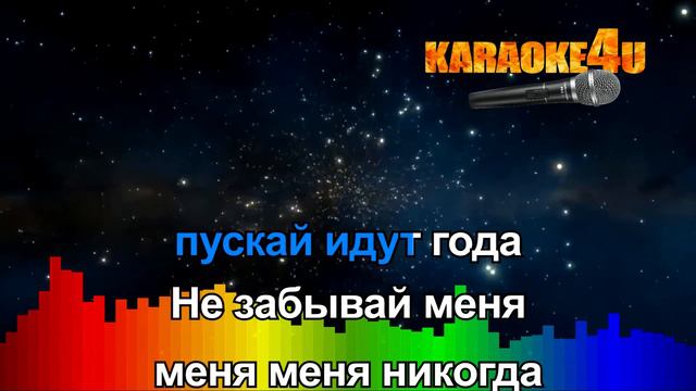 Лёша Свик | Не забывай меня | Караоке (Кавер минус)