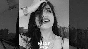 Handle