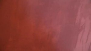 Ремонт коридора, кошка ободрала все обои - как ей НЕ СТЫДНО.