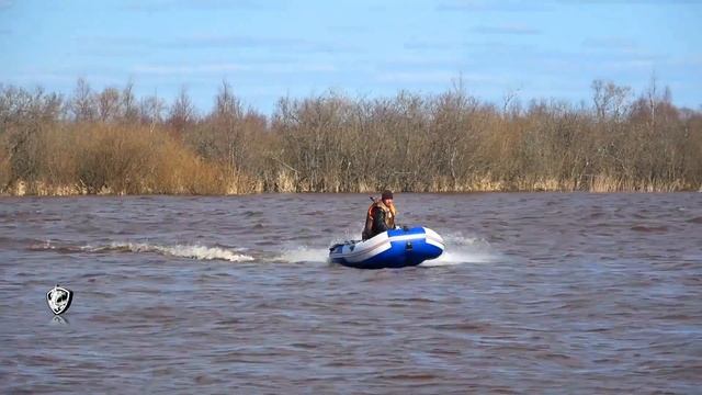 НОВИНКА 2018 - лодка ПВХ НДНД СТЕЛС 315 АЭРО с мотором 9,8 л.с. смотреть онлайн