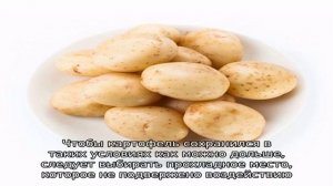 Заготовки картофеля на зиму