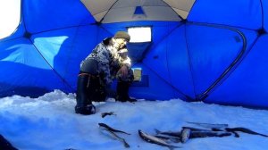 Рыбалка на Белом море. Ловля сига. Зимняя рыбалка. Хороший клёв.