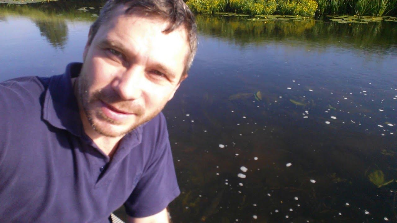 Нерест лещей и густеры. 1