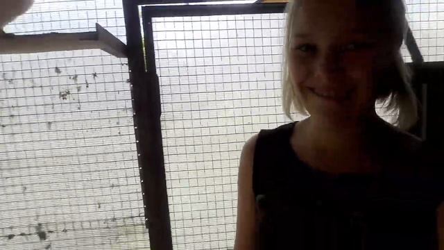 Чуть не обкакал голубь... на даче у сестры смотреть онлайн