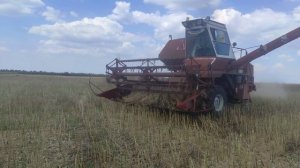 нива ск5, уборка рапса)